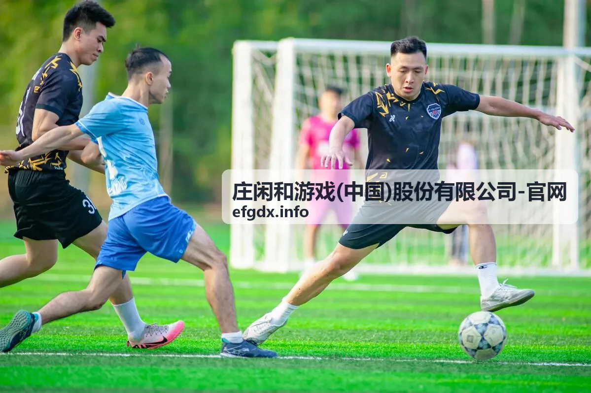 庄闲和游戏 会员权益体系